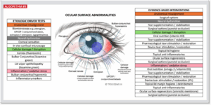 TFOS DEWS III anomalies de la surface oculaire ocular surface abnormalities