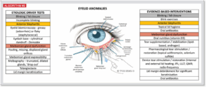 TFOS DEWS III anomalies de la surface oculaire ocular surface abnormalities